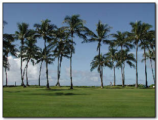 The Great Lawn at Kiahuna